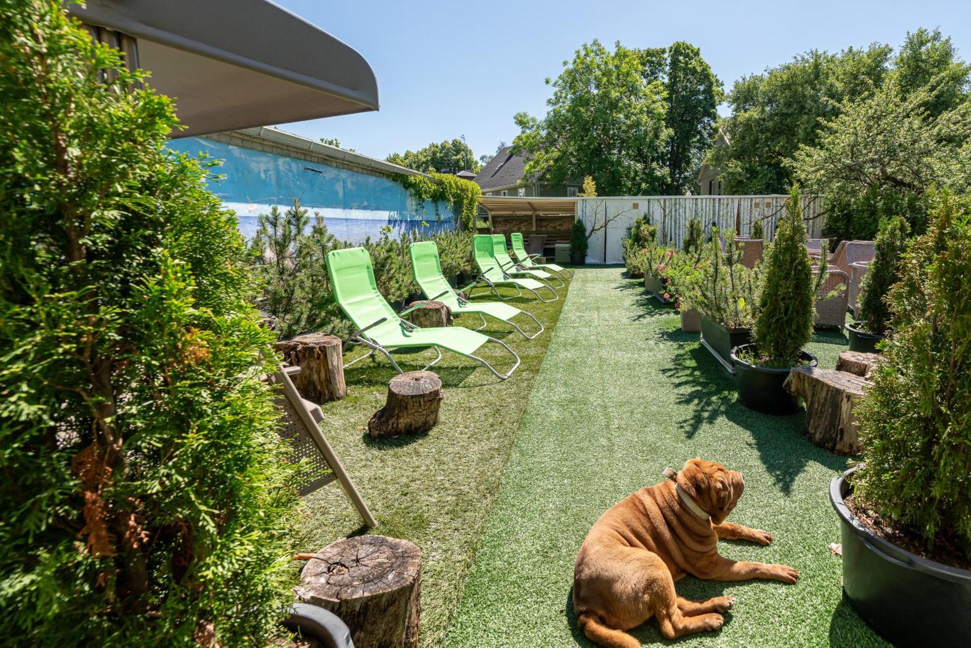 Garden Camping Tallinn Eksteriør billede
