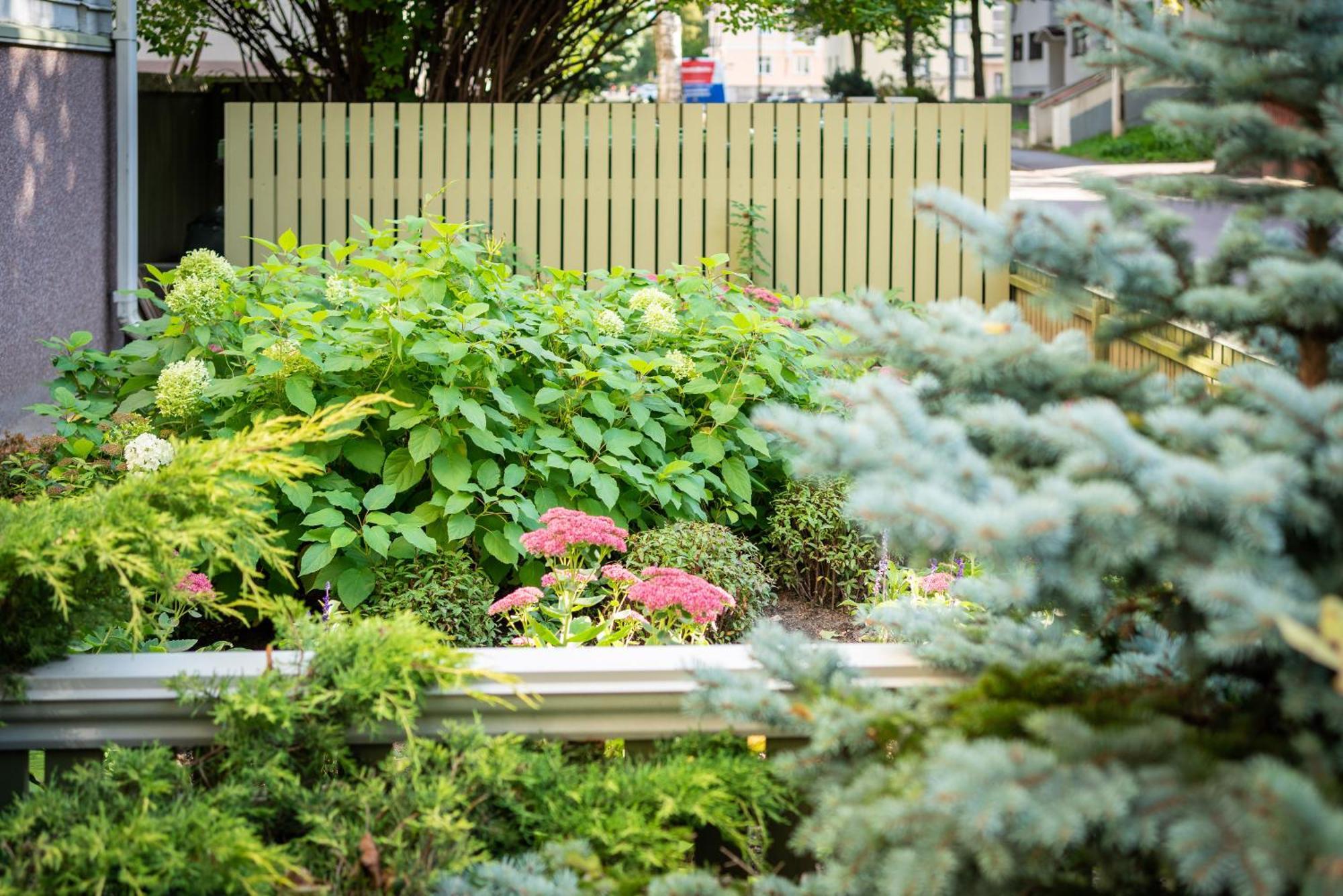 Garden Camping Tallinn Eksteriør billede