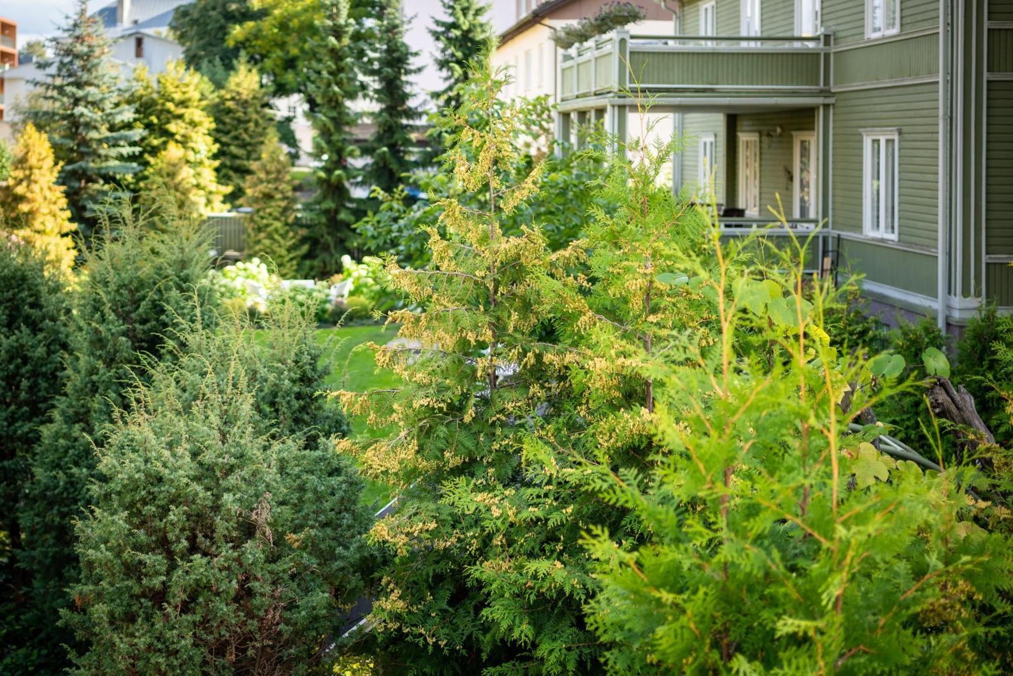 Garden Camping Tallinn Eksteriør billede