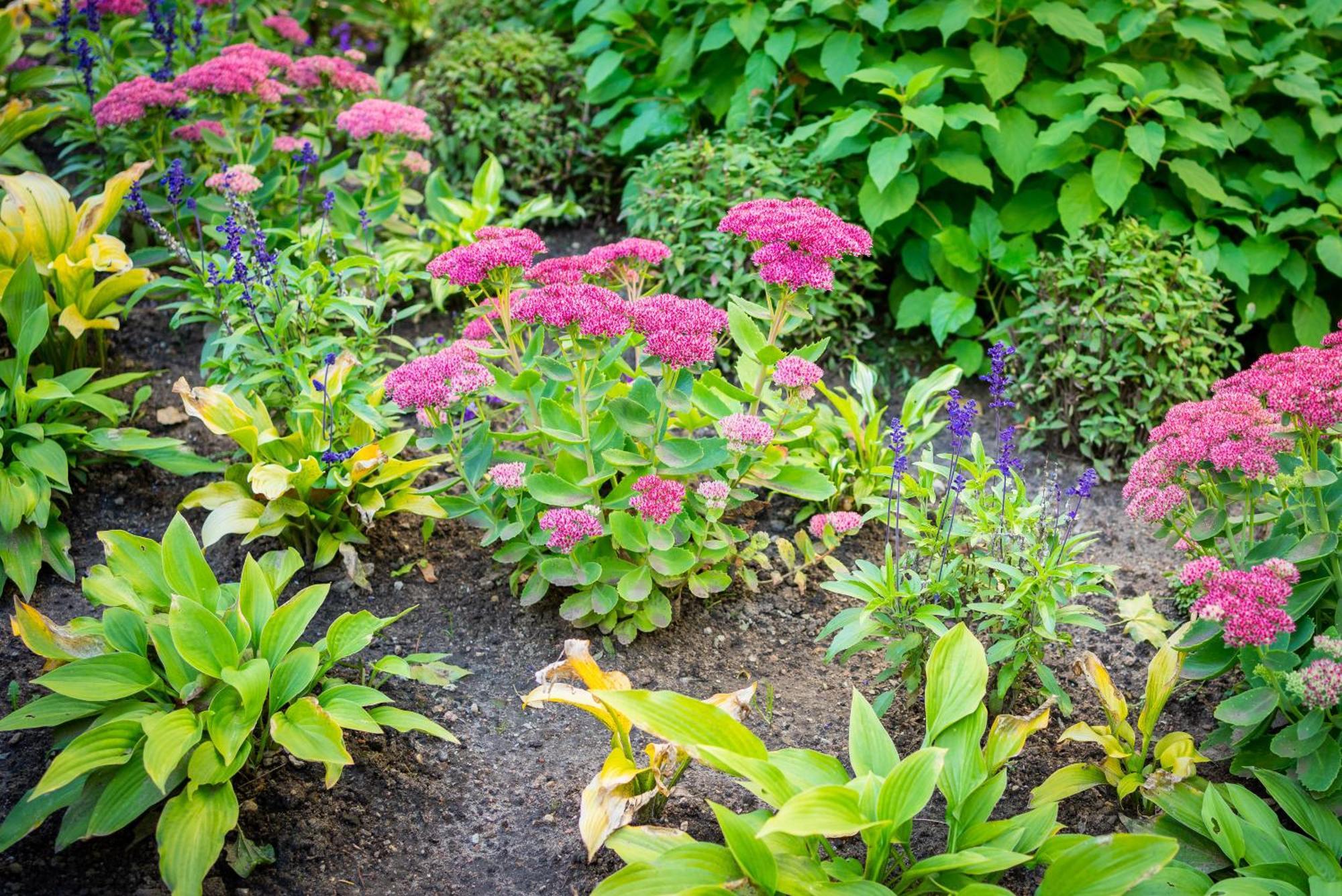Garden Camping Tallinn Eksteriør billede