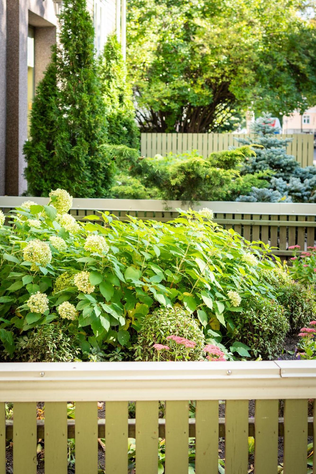 Garden Camping Tallinn Eksteriør billede