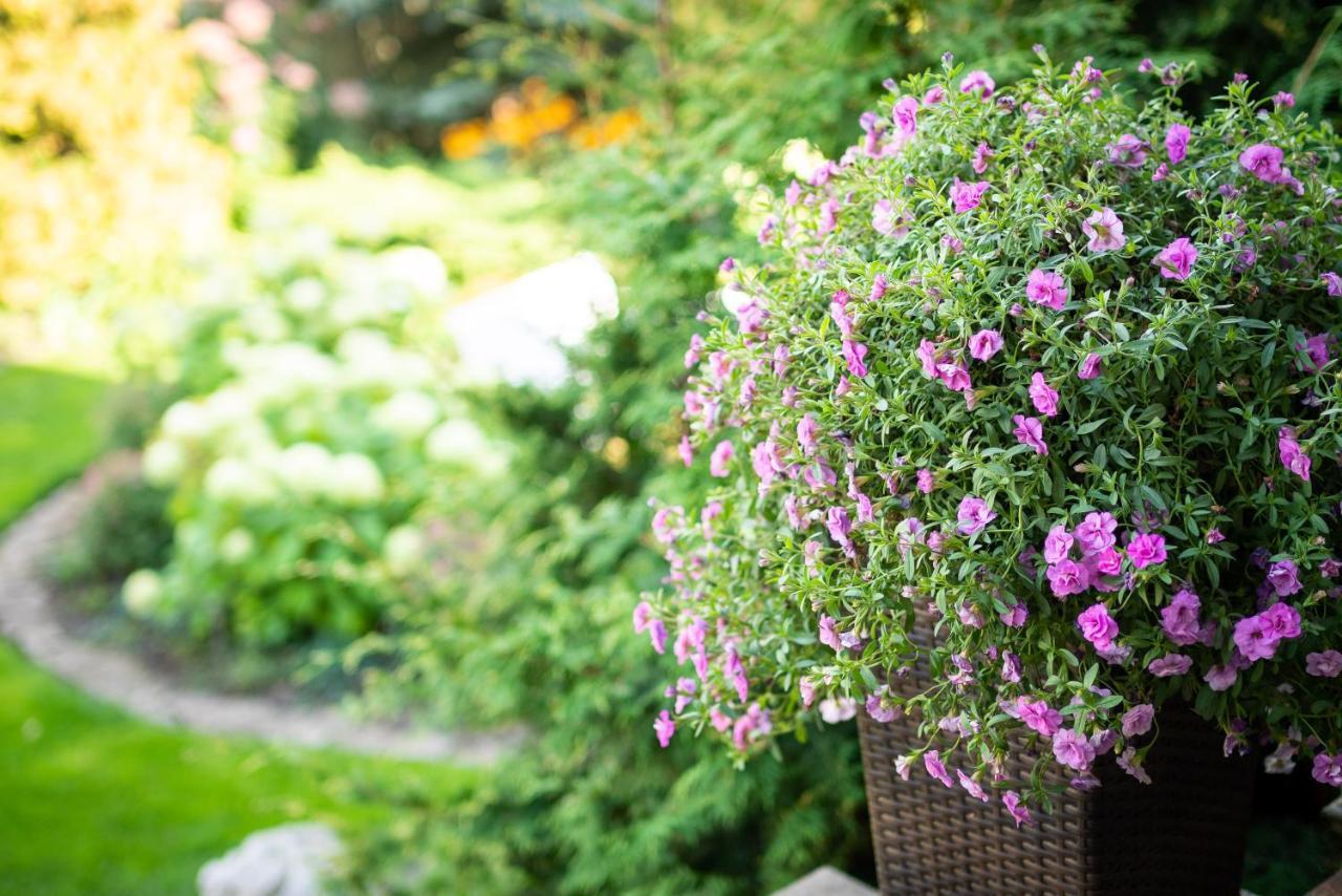 Garden Camping Tallinn Eksteriør billede